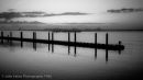 Oregon, Fishing at Dusk, Bandon